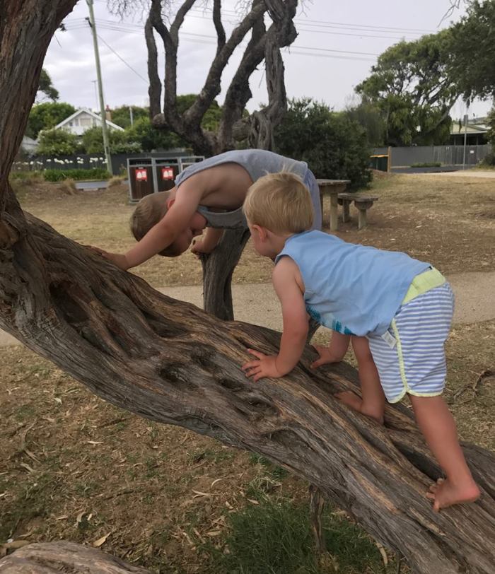 26996282_10156323944977922_150504908_n